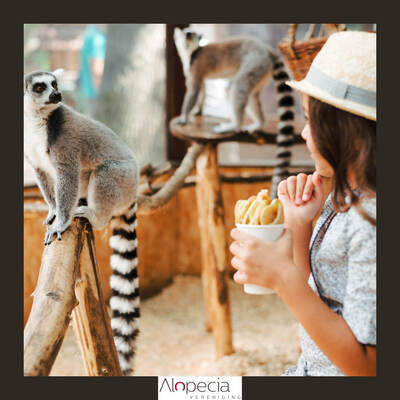 alopecia-visual-dierentuin